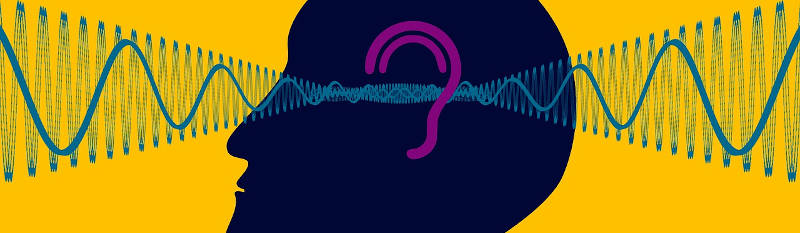 Conoce las partes que componen el oído: oído externo, oído medio, oído interno.