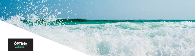 Clasificación de la Otitis en Óptima Audición